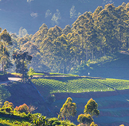 Amazing scenery Sri Lanka