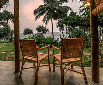 Restaurant with palm trees view in Sri Lanka