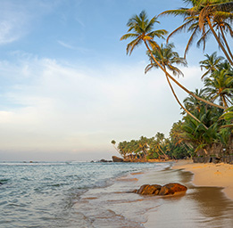 Sunset over the beach in Sri Lanka