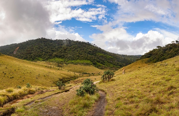 Horton Plains National Park