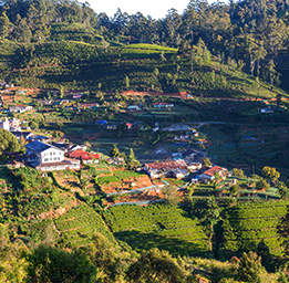 Nuwara Eliya- Central Province